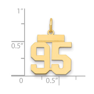 14k Yellow Gold Small Polished Number 95 Charm LS95