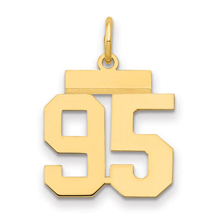 14k Yellow Gold Small Polished Number 95 Charm LS95