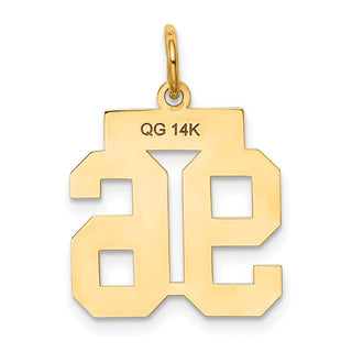 14k Yellow Gold Small Polished Number 96 Charm LS96