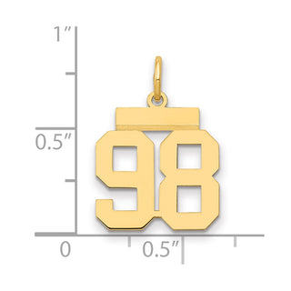 14k Yellow Gold Small Polished Number 98 Charm LS98