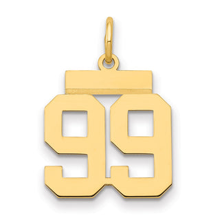 14k Yellow Gold Small Polished Number 99 Charm LS99