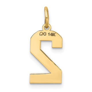 14k Yellow Gold Medium Satin Number 2 Charm