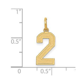 14k Yellow Gold Medium Satin Number 2 Charm