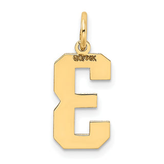 14k Yellow Gold Medium Satin Number 3 Charm