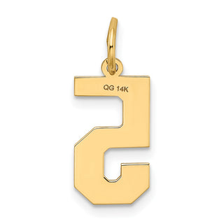 14k Yellow Gold Medium Satin Number 5 Charm