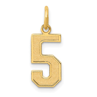 14k Yellow Gold Medium Satin Number 5 Charm