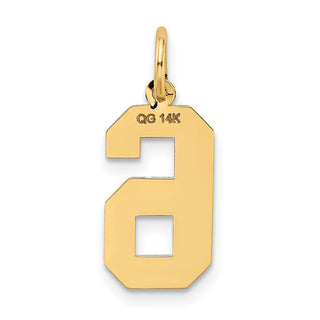 14k Yellow Gold Medium Satin Number 6 Charm
