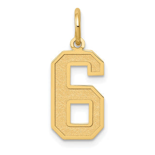 14k Yellow Gold Medium Satin Number 6 Charm