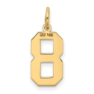 14k Yellow Gold Medium Satin Number 8 Charm