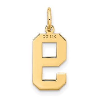 14k Yellow Gold Medium Satin Number 9 Charm