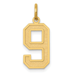 14k Yellow Gold Medium Satin Number 9 Charm