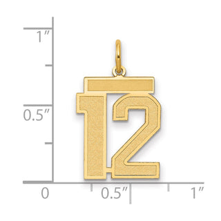 14k Yellow Gold Medium Satin Number 12 Charm