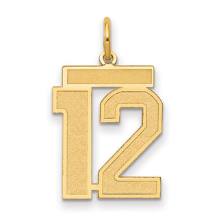 14k Yellow Gold Medium Satin Number 12 Charm