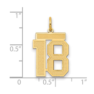 14k Yellow Gold Medium Satin Number 18 Charm