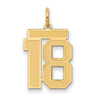 14k Yellow Gold Medium Satin Number 18 Charm