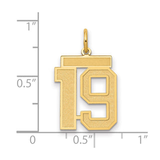 14k Yellow Gold Medium Satin Number 19 Charm