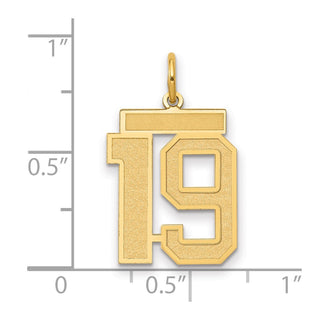 14k Yellow Gold Medium Satin Number 19 Charm