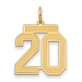 14k Yellow Gold Medium Satin Number 20 Charm