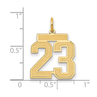14k Yellow Gold Medium Satin Number 23 Charm