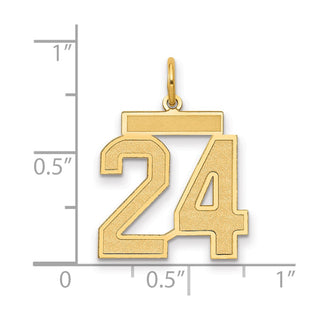 14k Yellow Gold Medium Satin Number 24 Charm