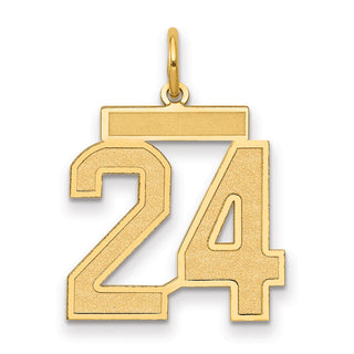 14k Yellow Gold Medium Satin Number 24 Charm
