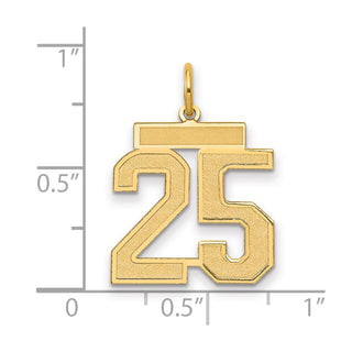14k Yellow Gold Medium Satin Number 25 Charm