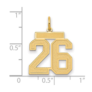 14k Yellow Gold Medium Satin Number 26 Charm