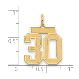 14k Yellow Gold Medium Satin Number 30 Charm