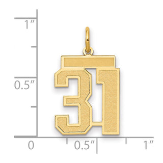 14k Yellow Gold Medium Satin Number 31 Charm