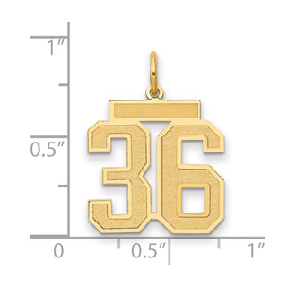 14k Yellow Gold Medium Satin Number 36 Charm