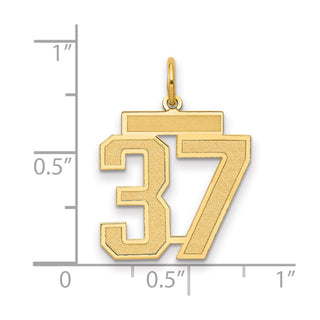 14k Yellow Gold Medium Satin Number 37 Charm