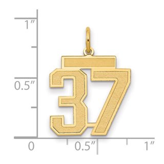 14k Yellow Gold Medium Satin Number 37 Charm