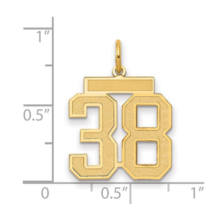 14k Yellow Gold Medium Satin Number 38 Charm