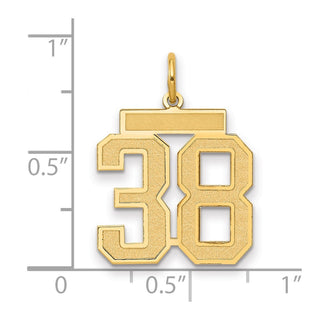 14k Yellow Gold Medium Satin Number 38 Charm