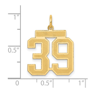 14k Yellow Gold Medium Satin Number 39 Charm