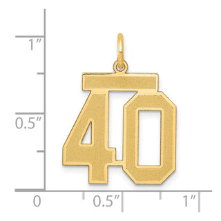 14k Yellow Gold Medium Satin Number 40 Charm