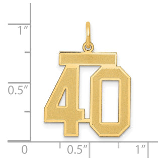 14k Yellow Gold Medium Satin Number 40 Charm