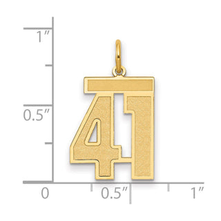 14k Yellow Gold Medium Satin Number 41 Charm