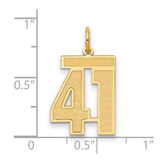 14k Yellow Gold Medium Satin Number 41 Charm