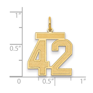 14k Yellow Gold Medium Satin Number 42 Charm