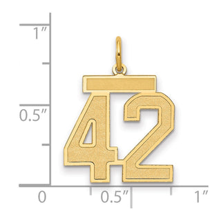 14k Yellow Gold Medium Satin Number 42 Charm