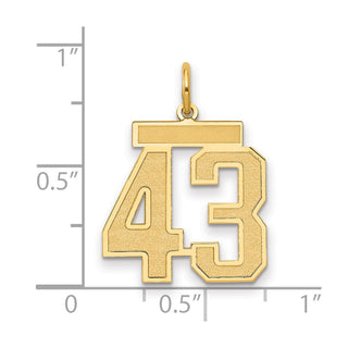 14k Yellow Gold Medium Satin Number 43 Charm