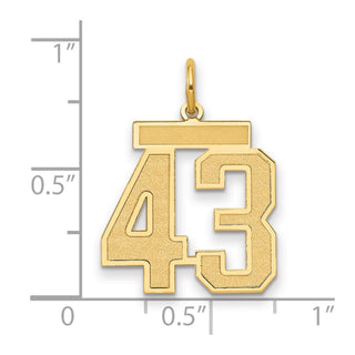 14k Yellow Gold Medium Satin Number 43 Charm