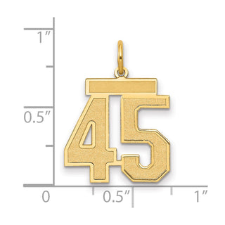 14k Yellow Gold Medium Satin Number 45 Charm
