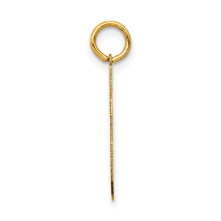 14k Yellow Gold Medium Satin Number 46 Charm