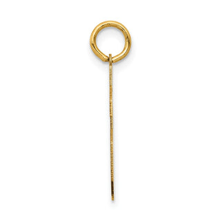 14k Yellow Gold Medium Satin Number 46 Charm