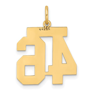 14k Yellow Gold Medium Satin Number 46 Charm