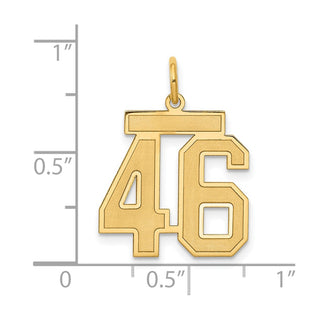 14k Yellow Gold Medium Satin Number 46 Charm