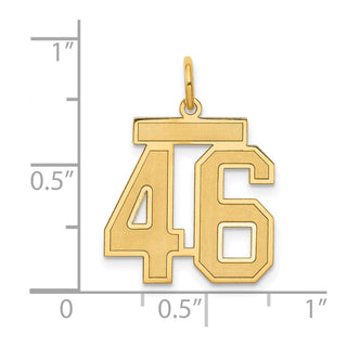14k Yellow Gold Medium Satin Number 46 Charm