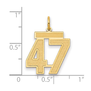 14k Yellow Gold Medium Satin Number 47 Charm